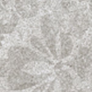 Ivory Stencil Concrete 5868