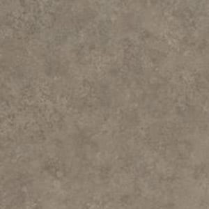 Warm Grey Concrete 7504